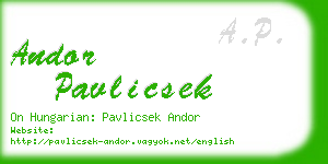 andor pavlicsek business card